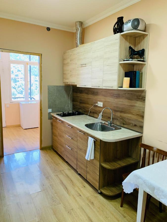 Ano'A Apartment Borjomi Ngoại thất bức ảnh
