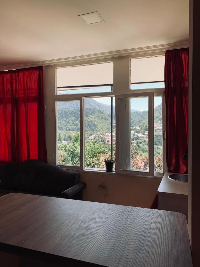 Ano'A Apartment Borjomi Ngoại thất bức ảnh